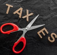 ellis-cad-has-over-taxed-at-445-trojacek-rd-by-19